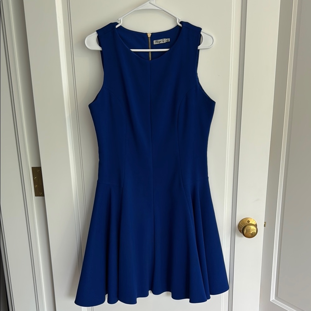 Eliza J Blue Sleeveless Fit and Flare Mini Dress